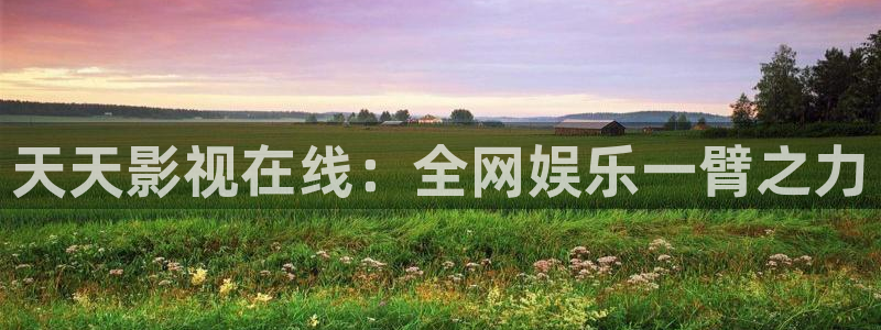 fnyy影院在线观看：天天影视在线：全网娱乐一臂之力