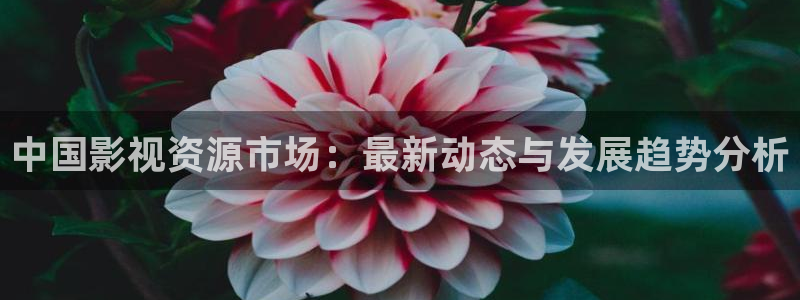 yy影院最新的电影电视剧在线观看：中国影视资源市场：最新动态与发展趋势分析