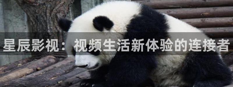se800yy影院：星辰影视：视频生活新体验的连接者