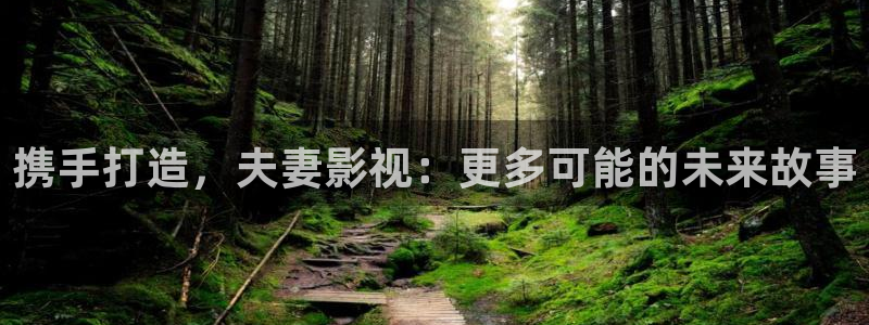 最新yy影院：携手打造，夫妻影视：更多可能的未来故事