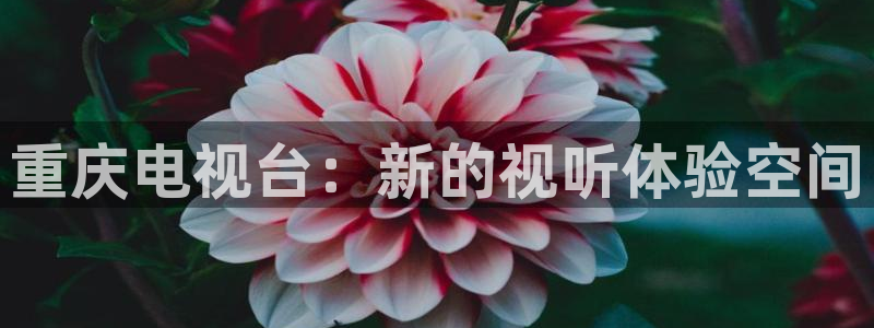 4080私人yy影院：重庆电视台：新的视听体验空间