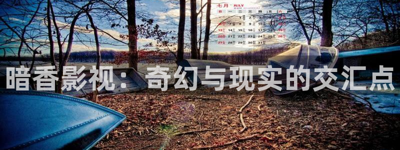 yy影院免费在线电视剧：暗香影视：奇幻与现实的交汇点