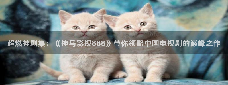 yy影院6080影院：超燃神剧集：《神马影视888》带你领略中国电视剧的巅峰之作