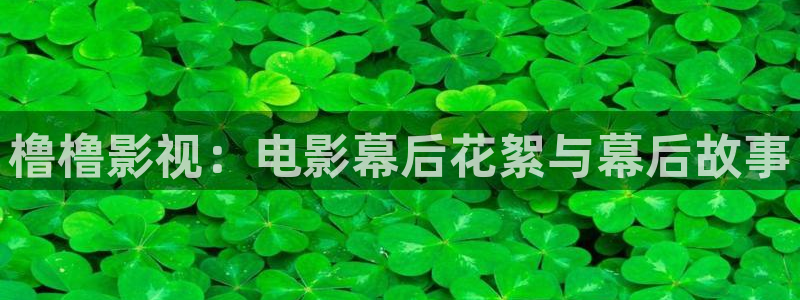 4yy影院：橹橹影视：电影幕后花絮与幕后故事