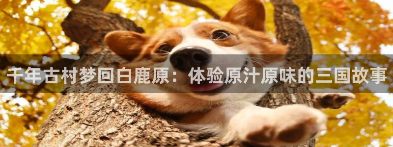 深夜yy影院：千年古村梦回白鹿原：体验原汁原味的三国故事