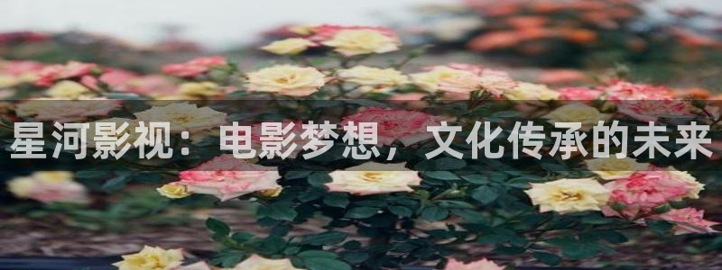 yy影院6080：星河影视：电影梦想，文化传承的未来